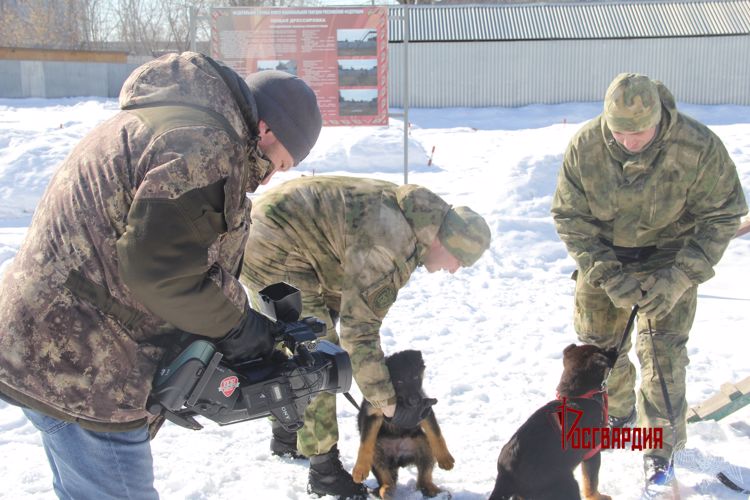 Росгвардейцы стали участниками специального телерепортажа телеканала «Тюменское время» (видео)