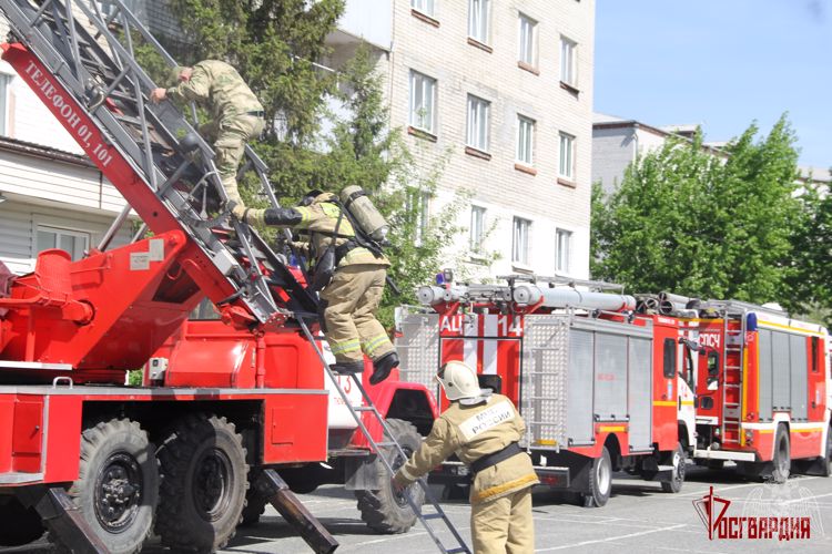 В Тюмени прошло совместное учение военнослужащих кинологического центра Росгвардии и сотрудников МЧС