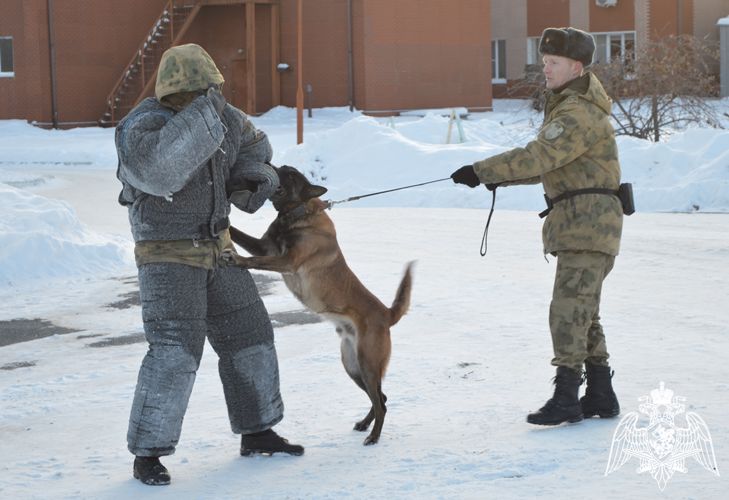 Кинологи Росгвардии организовали познавательную встречу воспитанников детского дома с четвероногими питомцами в Тюменской области