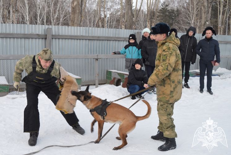 Патриотические мероприятия в рамках «Недели мужества» проводят росгвардейцы в Тюменской области