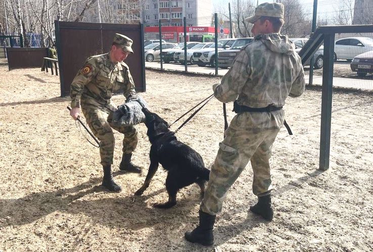 Курсанты Пермского военного института Росгвардии завершили стажировку на Урале