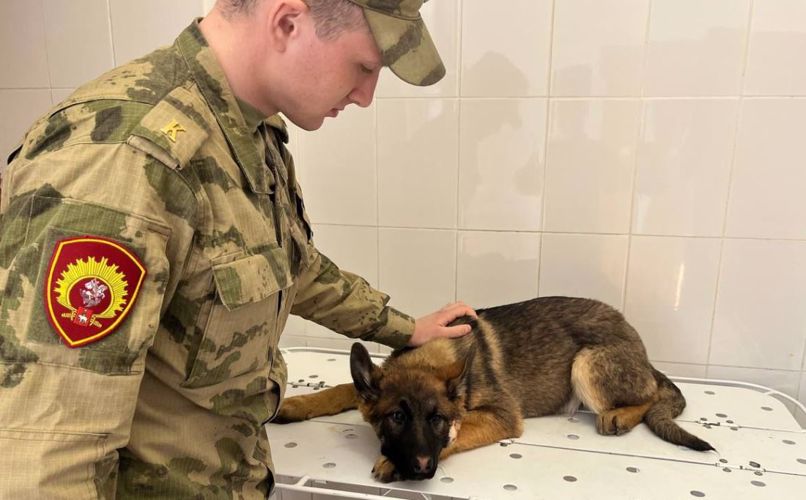 Курсанты Пермского военного института Росгвардии завершили стажировку на Урале