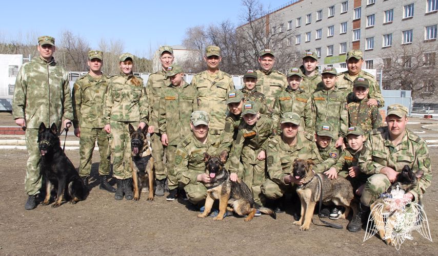 В тюменском кинологическом центре Уральского округа Росгвардии побывали курсанты «Гвардейской смены» из Югры