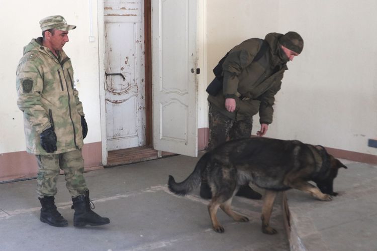 Кинологи Росгвардии продолжают совершенствовать своё профессиональное мастерство в Тюмени (видео)