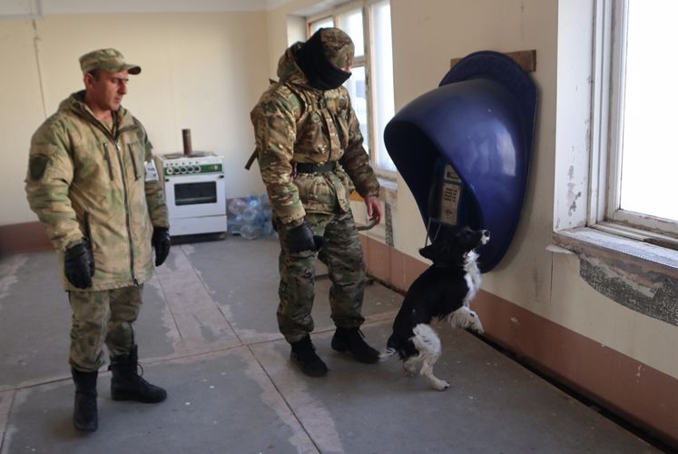 Кинологи Росгвардии продолжают совершенствовать своё профессиональное мастерство в Тюмени (видео)
