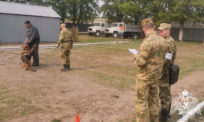 Кинологи Росгвардии завершили курс профессиональной подготовки в Тюмени