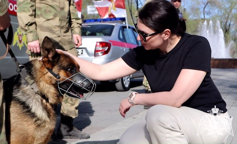 Росгвардия в Тюмени приняла участие в автопробеге «Нам дороги эти позабыть нельзя»