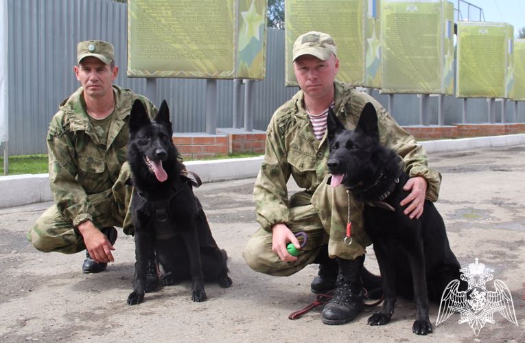 Учебно-методический сбор с начальниками кинологических служб Уральского округа Росгвардии состоялся в Тюмени