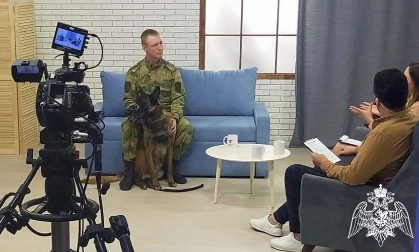 Специалисты-кинологи в Тюмени отмечают профессиональный праздник