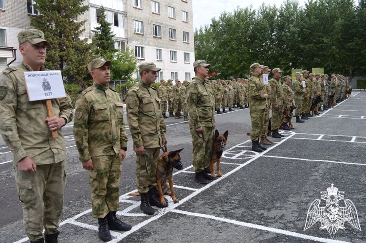 Чемпионат Уральского округа Росгвардии по многоборью кинологов завершился в Тюмени
