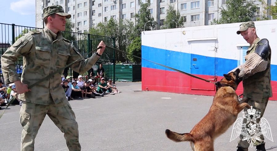 Кинологи Росгвардии познакомили тюменских ребят с питомцами и напомнили меры безопасности (видео)