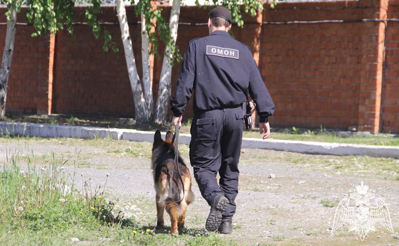 В День семьи, любви и верности Росгвардия обеспечила безопасность праздничных мероприятий в Тюменской области