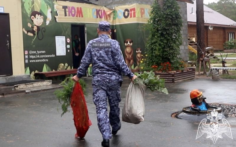 В Международный день благотворительности Росгвардия в Тюмени совершает добрые дела