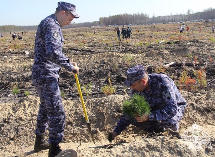 Росгвардейцы присоединились к всероссийской экологической акции «Сохраним лес» в Тюменской области