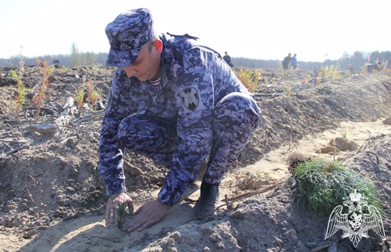 Росгвардейцы присоединились к всероссийской экологической акции «Сохраним лес» в Тюменской области