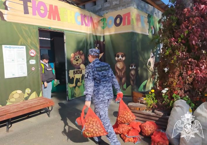 Благотворительную помощь нуждающимся землякам и животным оказали росгвардейцы в Тюмени