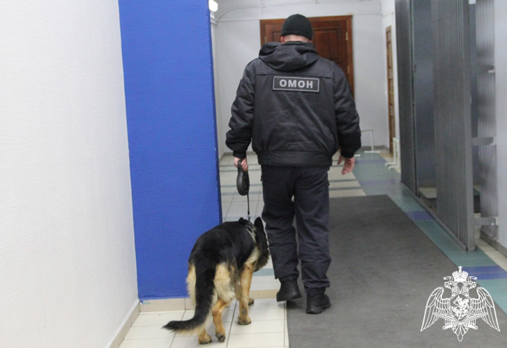 Росгвардия в Тюмени обеспечила безопасность матчей чемпионата ВХЛ в Тюмени