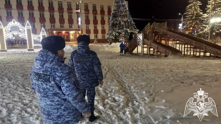 В новогоднюю ночь Росгвардия в Тюменской области обеспечила безопасность граждан 
