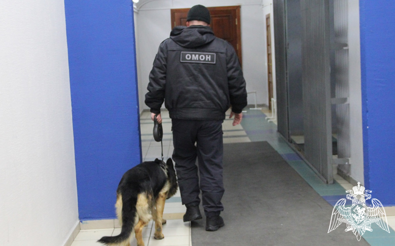 Безопасность матча ВХЛ в Тюмени обеспечила Росгвардия