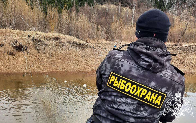 Росгвардия и Рыбоохрана подвели итоги совместной работы в Тюменской области