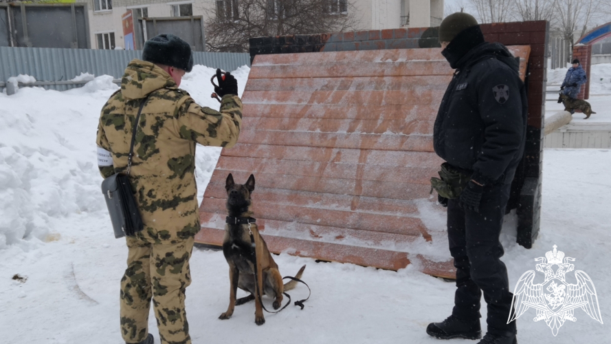 Кинологи Росгвардии познакомили ТВ-журналистов из Тюмени с особенностями профессиональной подготовки (видео)
