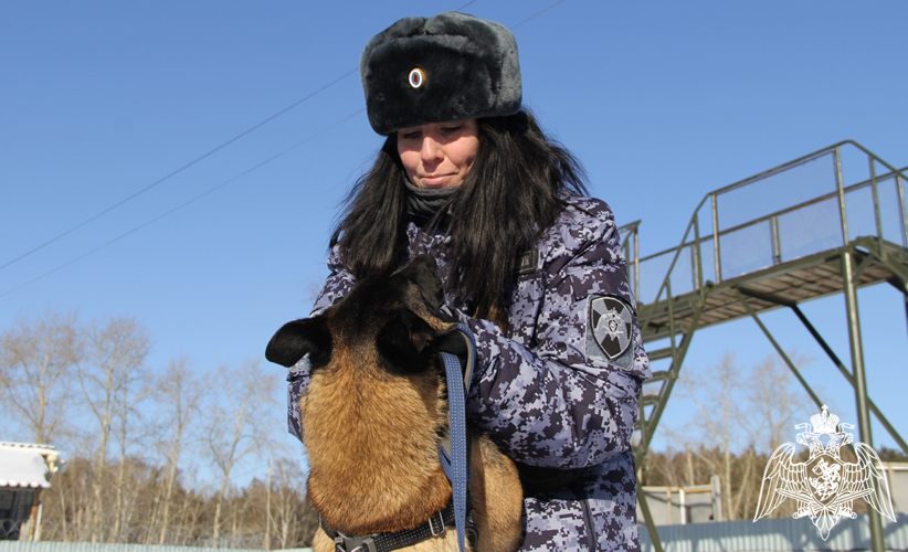 Выпуск ведомственной программы о кинологах Росгвардии вышел в эфире тюменского телевидения