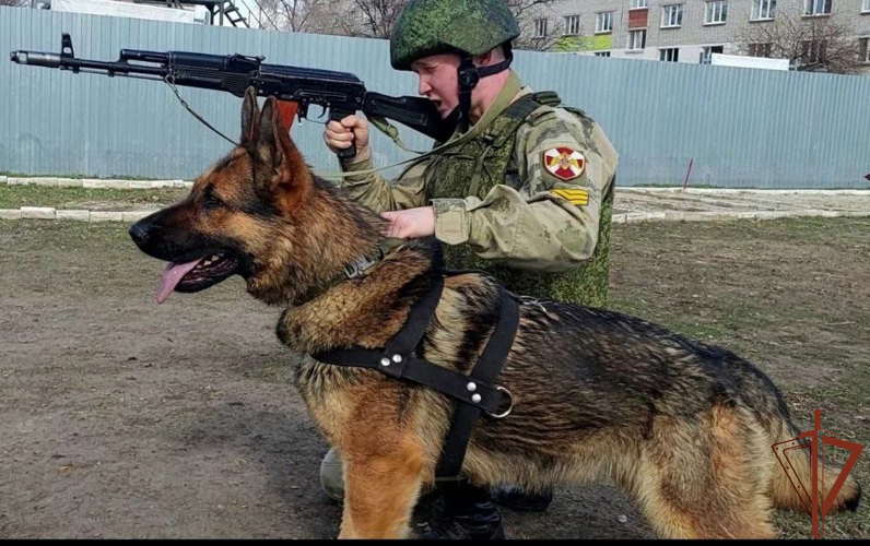 Курсанты Пермского военного института Росгвардии проходят стажировку на Урале