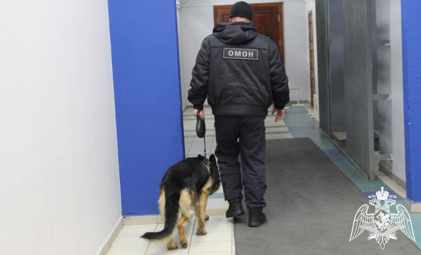 Росгвардия обеспечила безопасность прибытия поезда-музея «Сила в правде» в Тюмени