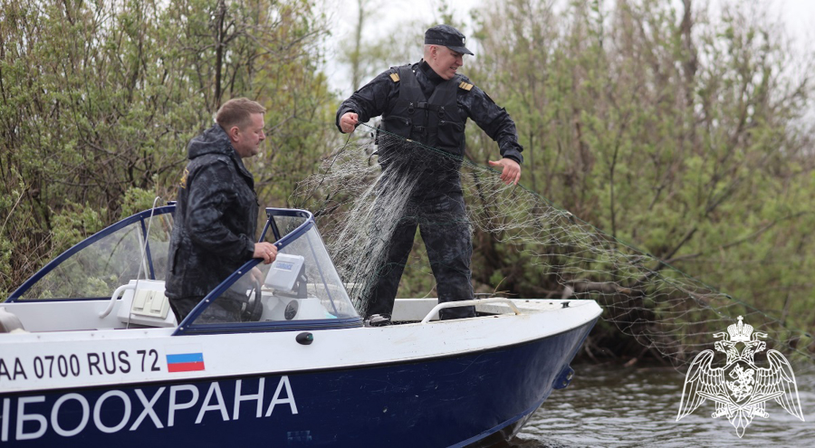     Росгвардейцы со своими семьями приняли участие в ежегодной экологической акции «Всероссийский день без сетей» в Тюмени