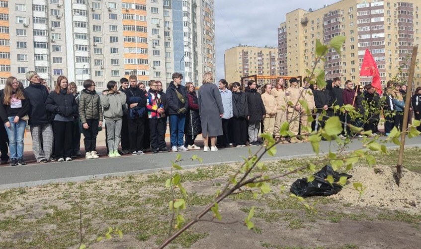 Ветеран Росгвардии в Тюмени стал инициатором проекта «Папина берёзка» в память о погибших участниках специальной военной операции (видео)