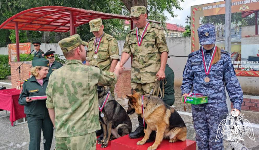 Чемпионат Уральского округа Росгвардии по многоборью кинологов завершился в Тюмени