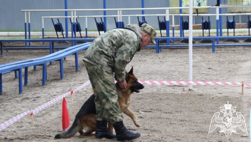 Чемпионат Уральского округа Росгвардии по многоборью кинологов завершился в Тюмени