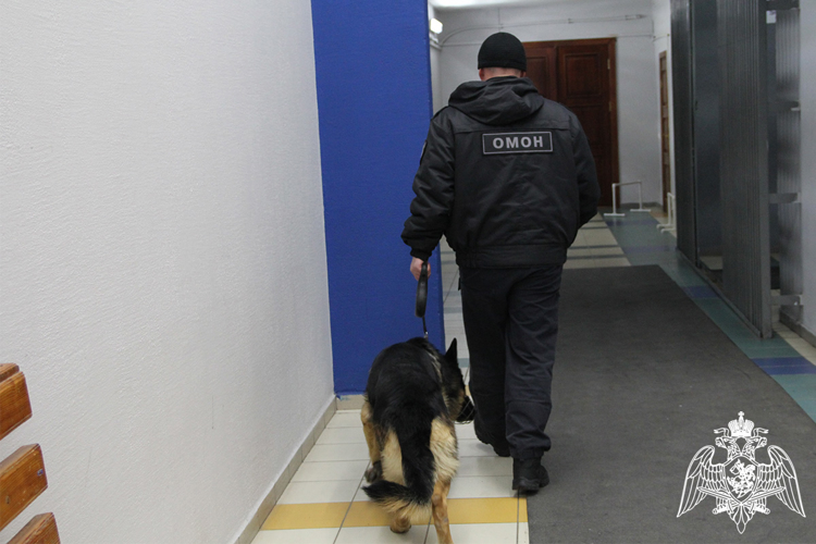 Безопасность всероссийских соревнований обеспечила Росгвардия в Тюмени