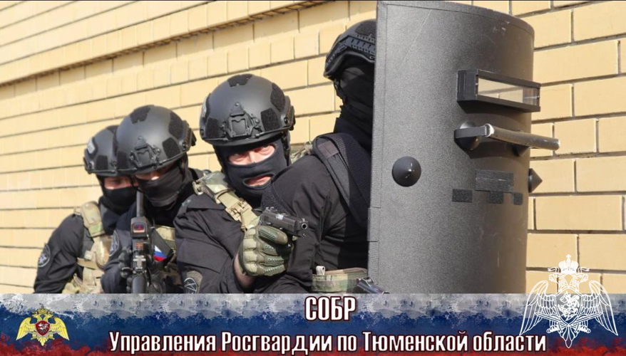 В тюменском Историческом парке «Россия – Моя История» состоялся День СОБР Росгвардии
