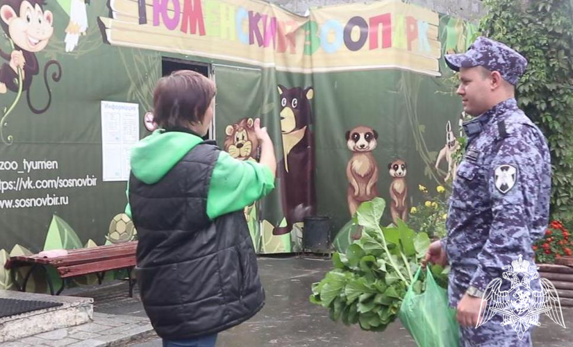 Ведомственная акция «Росгвардия – войска мира и добра» проходит в Тюменской области