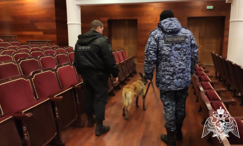 Росгвардия в Тюменской области обеспечила безопасность и антитеррористическую защищённость праздничных мероприятий в День народного единства