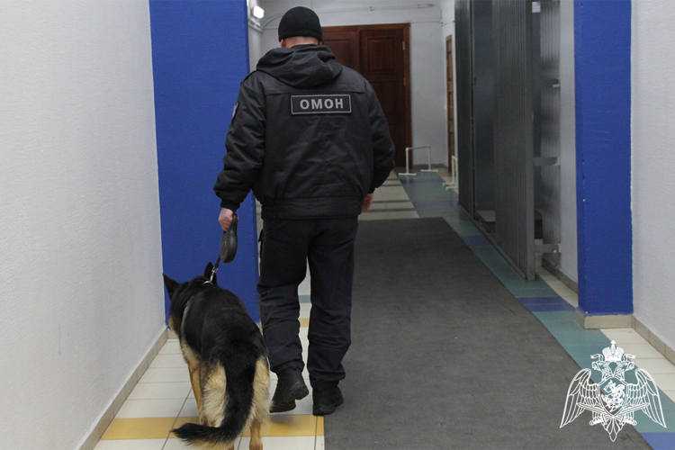 Росгвардия в Тюмени обеспечила безопасность матчей Всероссийских соревнований