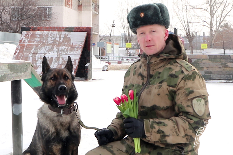 Кинологи Росгвардии поздравили женщин с весенним праздником в эфире тюменского телевидения (видео)