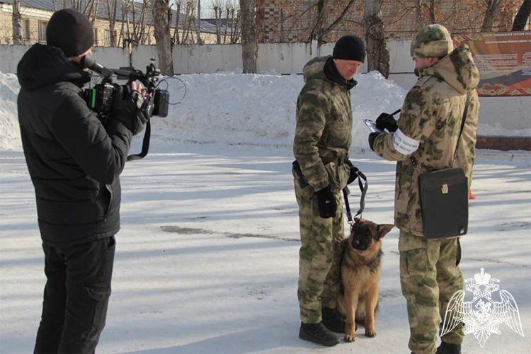 О выпускниках военных институтов Росгвардии рассказал тюменцам авторский телерепортаж (видео)
