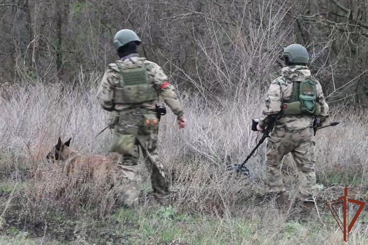Более 70 кг взрывчатки обнаружили росгвардейцы в замаскированном схроне в ЛНР 