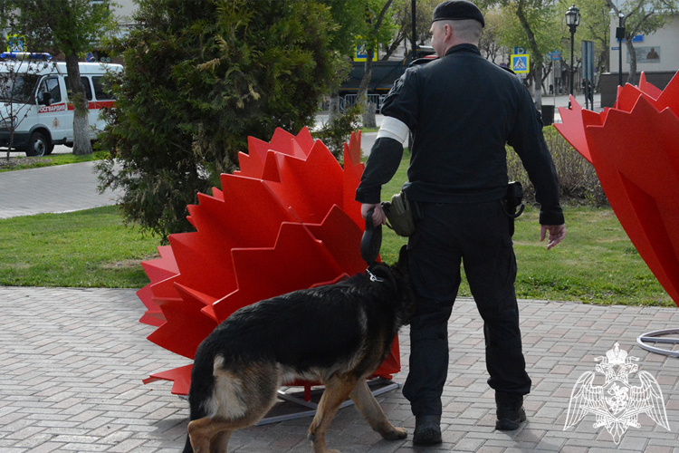 В Тюменской области Росгвардия обеспечила безопасность празднования 80-летия Победы в Великой Отечественной войне