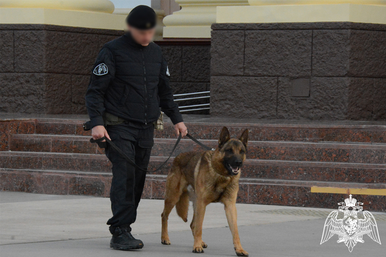 Росгвардия в Тюменской области обеспечила безопасность праздника «Последний звонок» и Дня химика