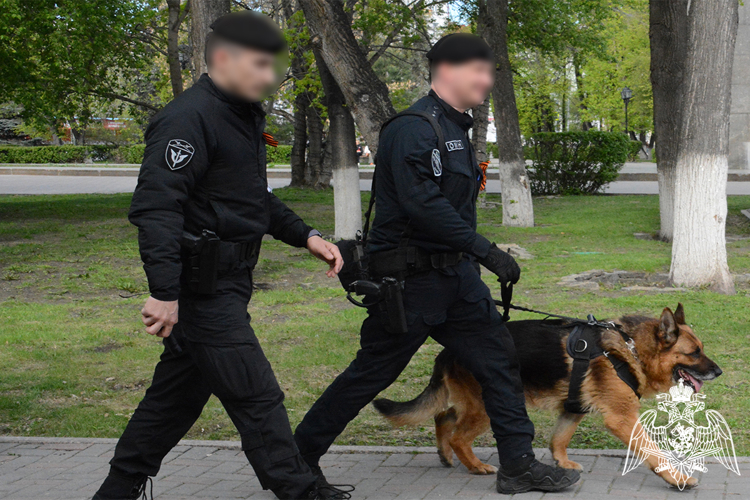 Росгвардейцы в Тюмени обеспечили безопасность матча Первенства команд Первой лиги сезона по футболу