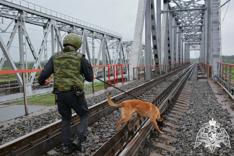 Росгвардия в Тюменской области приняла участие в межведомственном антитеррористическом учении (видео)