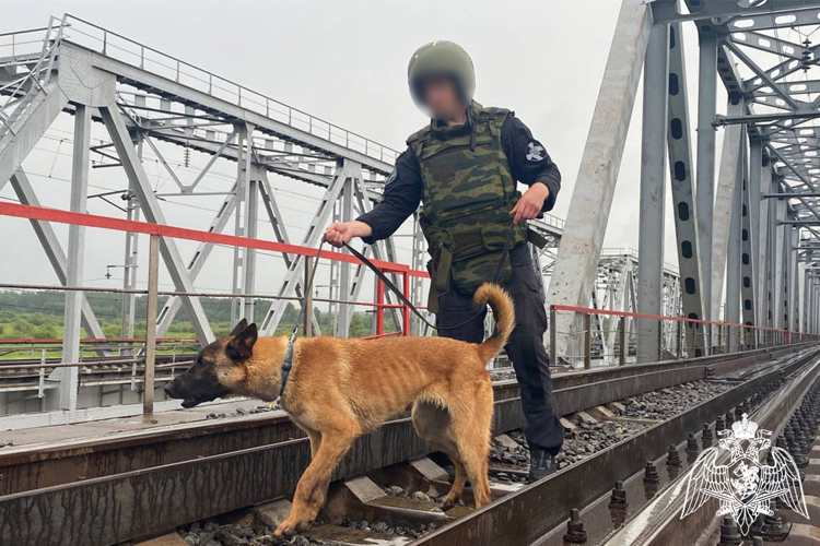 Росгвардия в Тюменской области приняла участие в межведомственном антитеррористическом учении (видео)