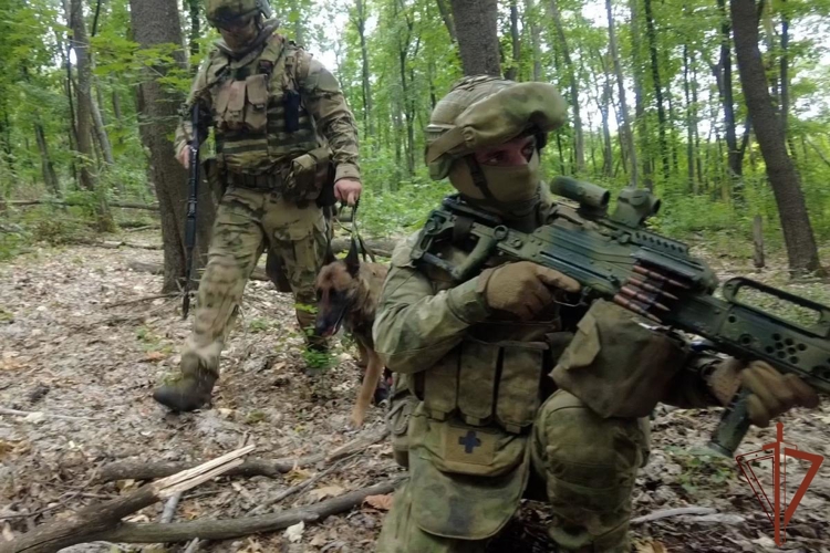 В ДНР росгвардейцы обнаружили схроны с боеприпасами ВСУ