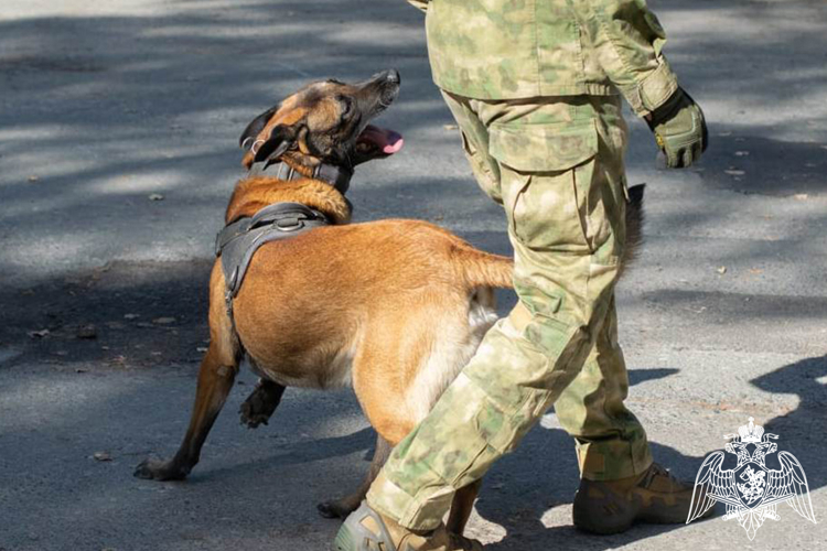  Представители Росгвардии стали соорганизаторами и почётными гостями региональных мероприятий для молодых тюменцев