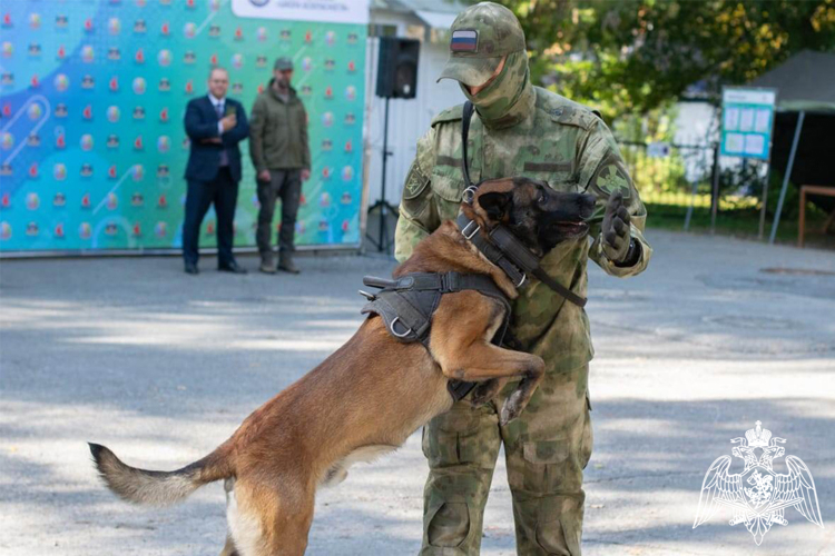  Представители Росгвардии стали соорганизаторами и почётными гостями региональных мероприятий для молодых тюменцев