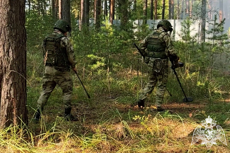 Инженеры кинологического центра Уральского округа Росгвардии провели комплексные занятия в полевых условиях