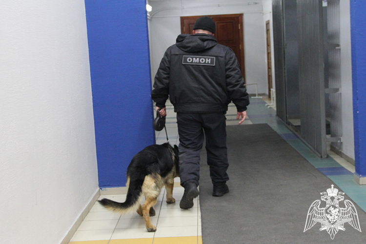 Росгвардия обеспечила безопасность проведения цифрового форума «Инфотех-2025» в Тюмени